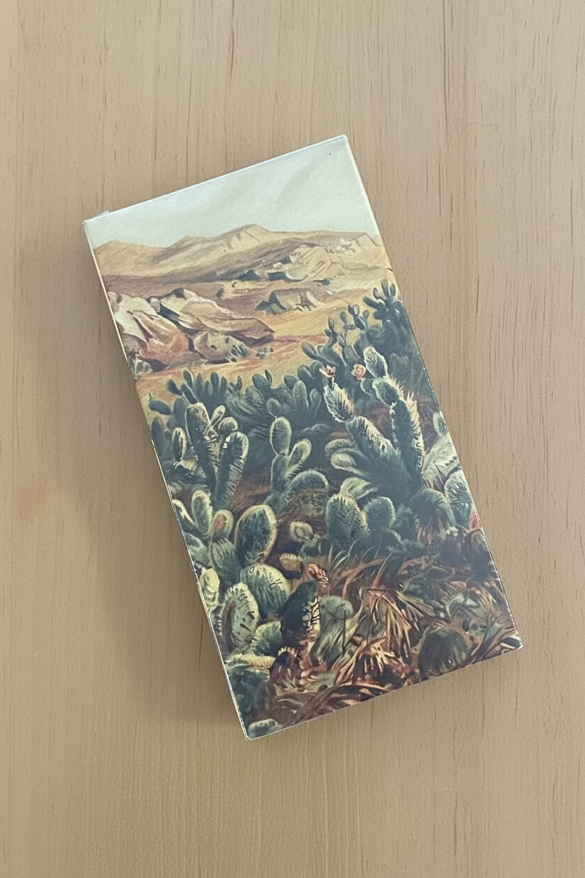 Match Box- Cactus